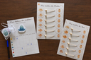 Lot planning routine + tableau des émotions