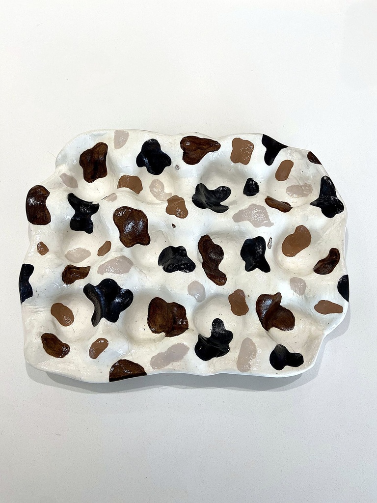 Boîte 12 oeufs