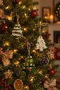 IMG_1560.webp